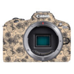 Vintage World Map 3D Texture Camera Skin