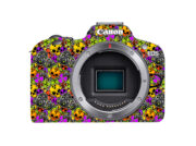 Toxic Skull Graffiti 3D Texture Camera Skin